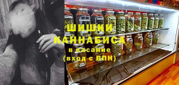 твердый Надым