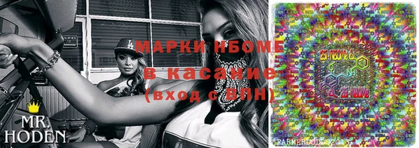 стафф Каменногорск