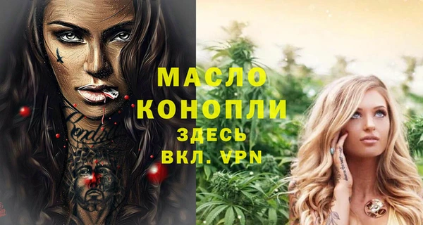 индика Кинешма