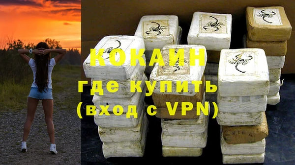 индика Кинешма