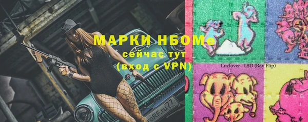 индика Кинешма