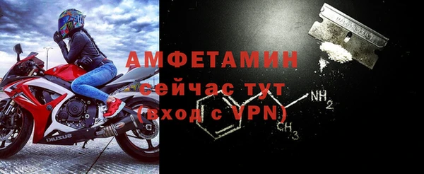 индика Кинешма